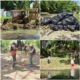 Alcaldía de Barahona jornada de limpieza en el río Birán