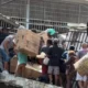 emergencia en Venezuela tras terremotos