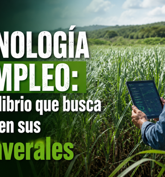 Tecnología y empleo el equilibrio que busca el CAC en sus cañaverales