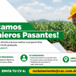 Consorcio Azucarero Central abre convocatoria para ingenieros pasantes en Barahona