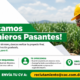 Consorcio Azucarero Central abre convocatoria para ingenieros pasantes en Barahona