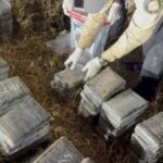 DNCD, apresa y ocupa cocaina