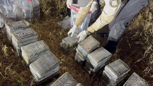 DNCD, apresa y ocupa cocaina