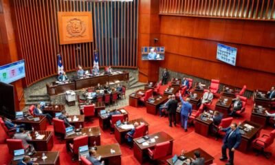 El PRM rechaza proyecto para aplazar entrada en vigencia del Código Penal