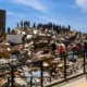 Terremoto en Venezuela