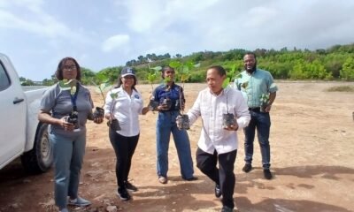 SRSEN y Medio Ambiente realizan jornada de reforestación en playa Saladilla de Barahona