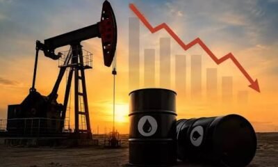 petroleo baja