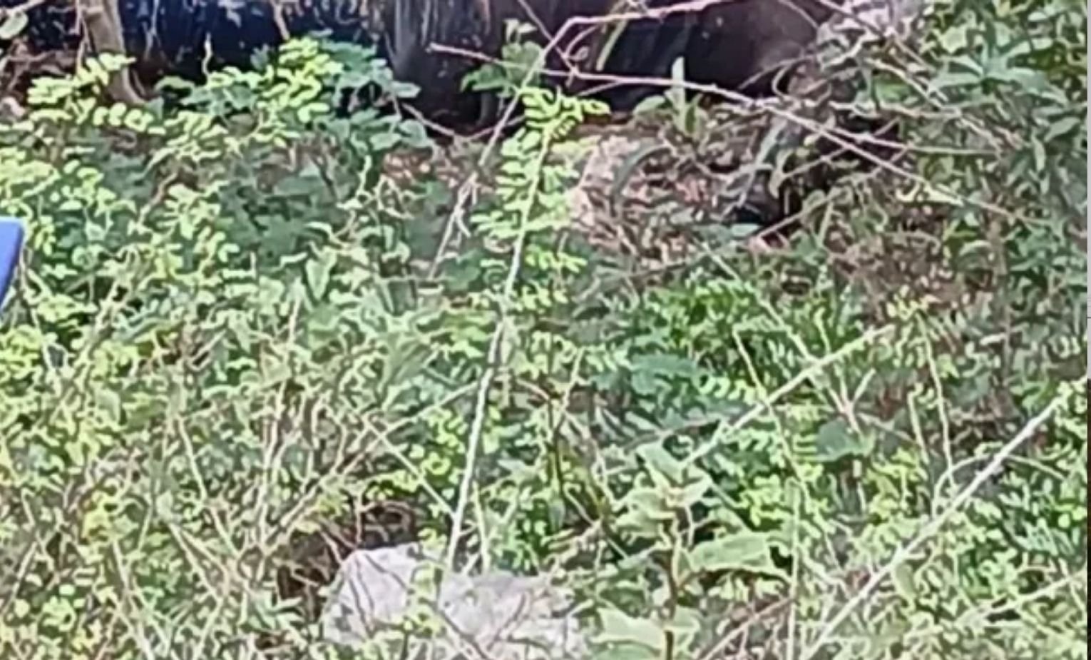 Cuerpo de hombre desaparecido en Barahona es hallado en descomposición