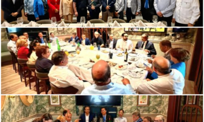 Comision de consulta del PLD