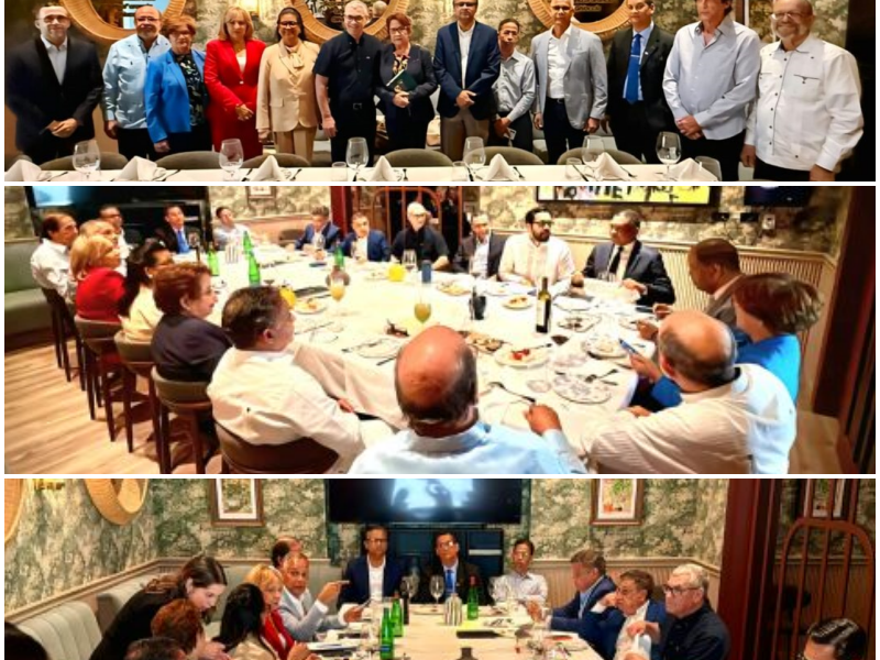 Comision de consulta del PLD