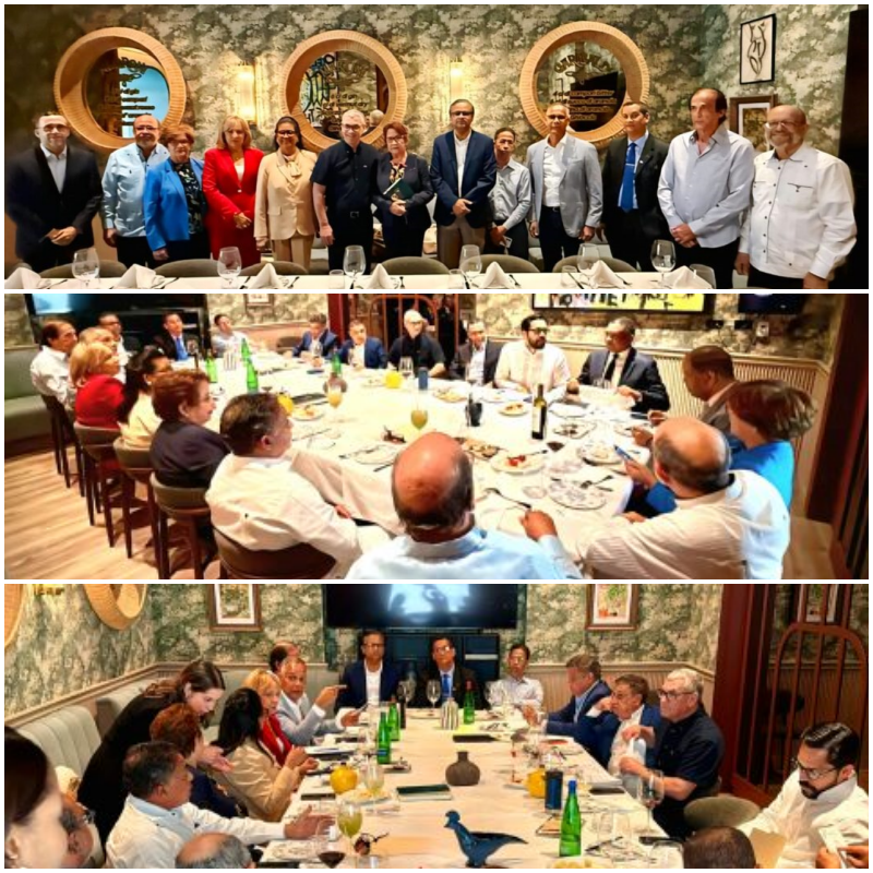 Comision de consulta del PLD