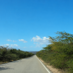 Maleza arropa carretera Barahona-Sanjuan
