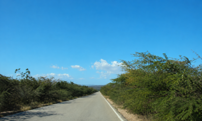 Maleza arropa carretera Barahona-Sanjuan