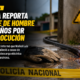 Policía reporta muerte de hombre de 71 años por electrocución en Barahona