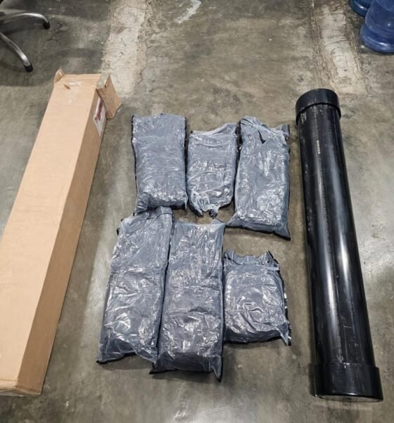 Video: DNCD incauta seis paquete de marihuana ocultos en portaplanos