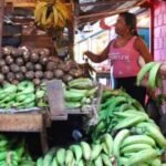 Precio del plátano podría llegar a RD$50 desde la próxima semana