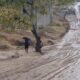 Dirigente comunitario reitera denuncia sobre deterioro de calle de acceso a escuela en Riochill en Barahona
