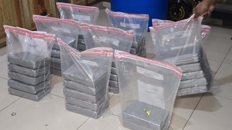 dncd-incauta-42-paquetes-presunta-cocaina-puerto-caucedo