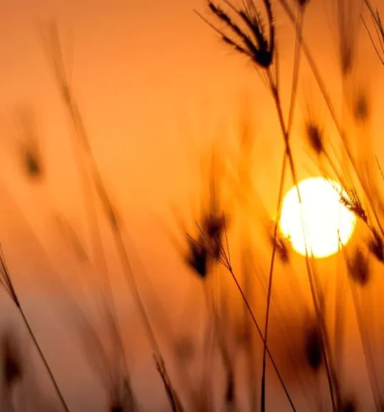 Polvo sahariano limitará las lluvias y mantendrá el calor en RD