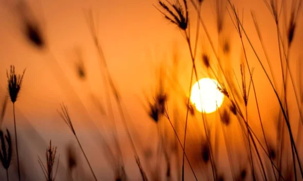 Polvo sahariano limitará las lluvias y mantendrá el calor en RD