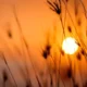 Polvo sahariano limitará las lluvias y mantendrá el calor en RD
