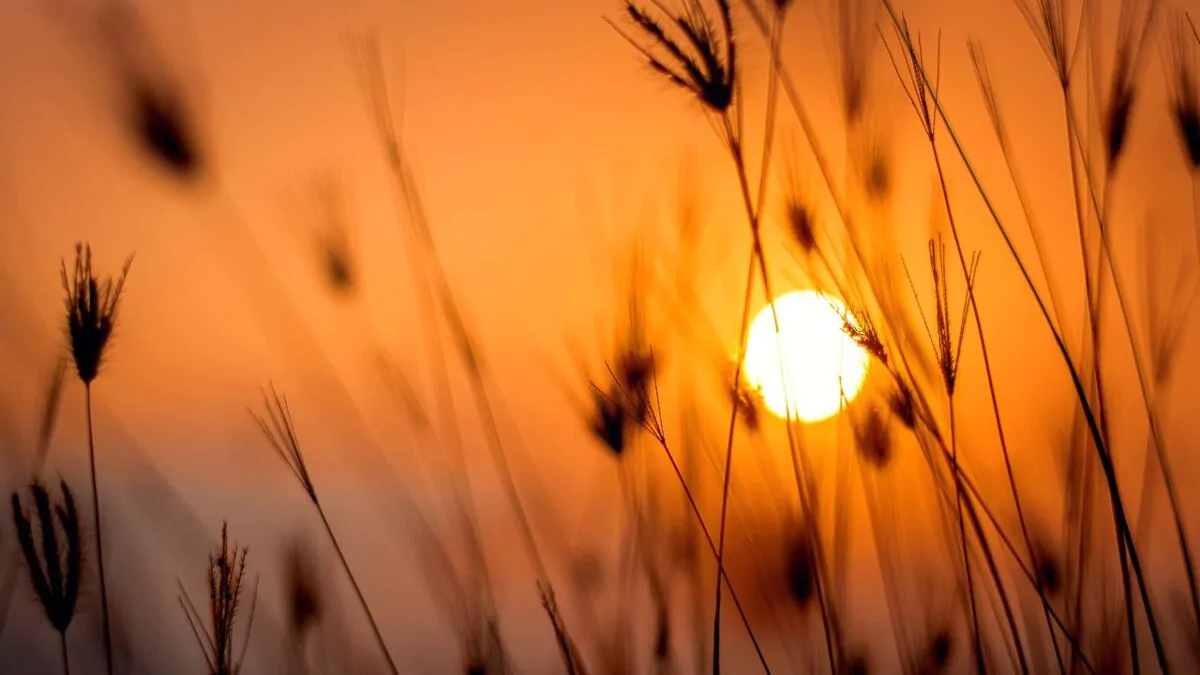 Polvo sahariano limitará las lluvias y mantendrá el calor en RD